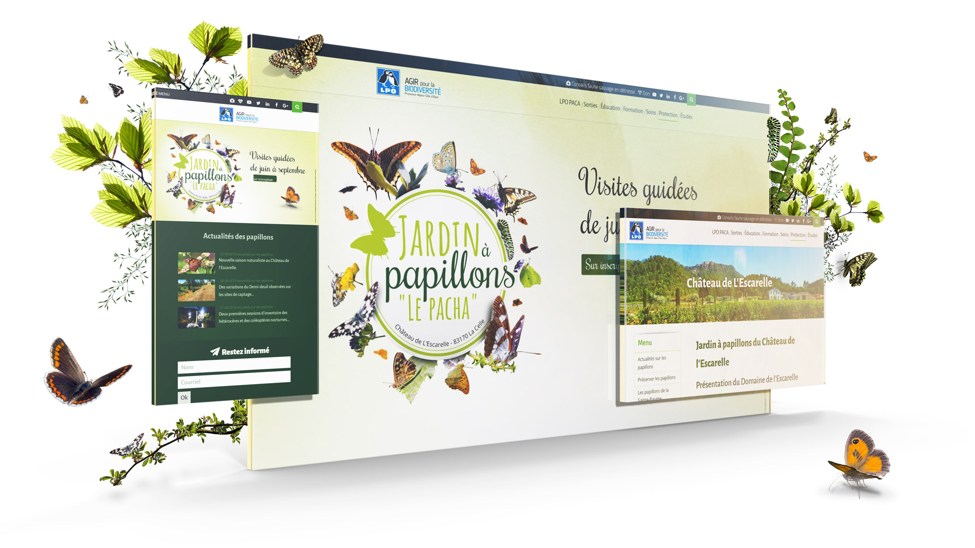 Pages web du jardin à papillons "Le Pacha"