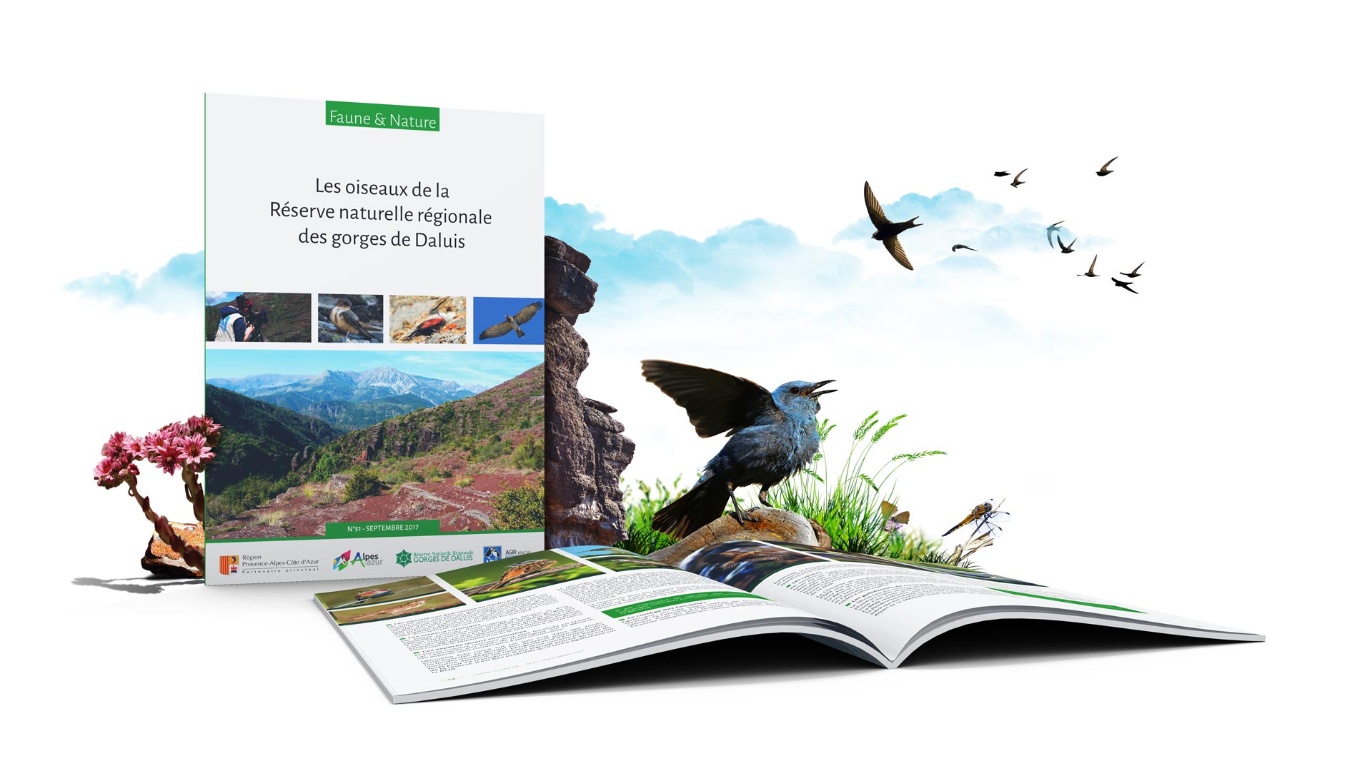 Faune et Nature n°51 : Les oiseaux de la Réserve naturelle régionale des gorges de Daluis